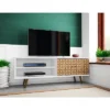 Liberty 2 Shelves And 2 Doors TV Stand For TVs Up To 60" - Manhattan Comfort -Furniture Store GUEST 24c56066 9208 430a 939c 16c6315e0356
