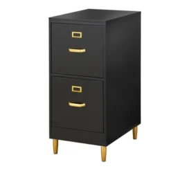 Dixie 2 Drawer Filing Cabinet - Buylateral -Furniture Store GUEST a6c30278 e9d2 483a b366 845bb9afa6b5