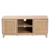 Elsbeth Wood And Natural Rattan 2 Door TV Stand For TVs Up To 40" Light Brown/Natural Brown - Baxton Studio